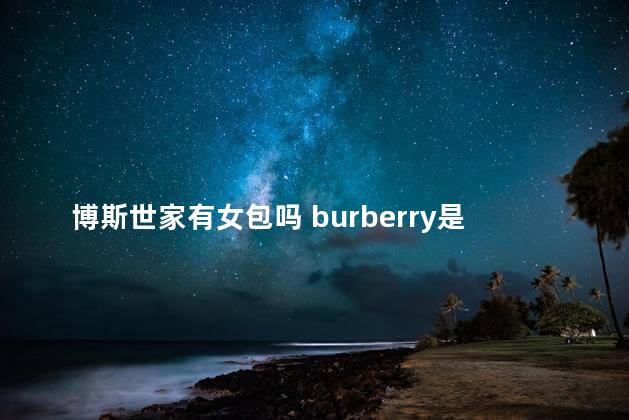 博斯世家有女包吗 burberry是什么牌子包包价格